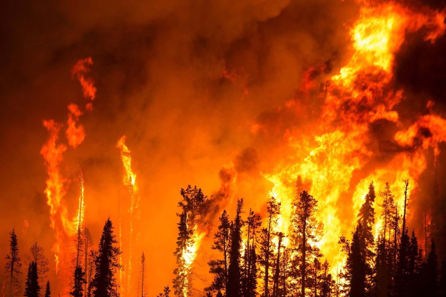 How likely are you to be affected by a natural disaster in the United States, such as a wild fire?