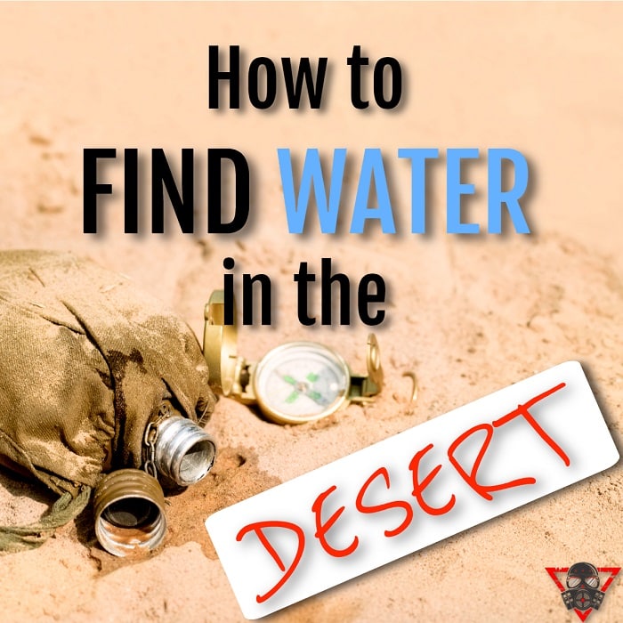 How to Find Water in the Desert