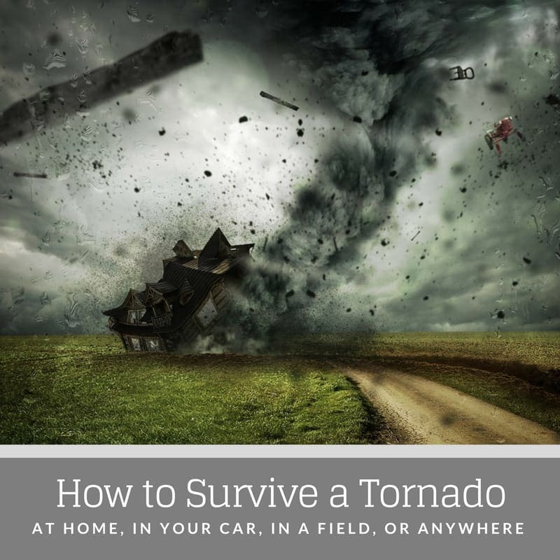 Surviving a Tornado Title Image