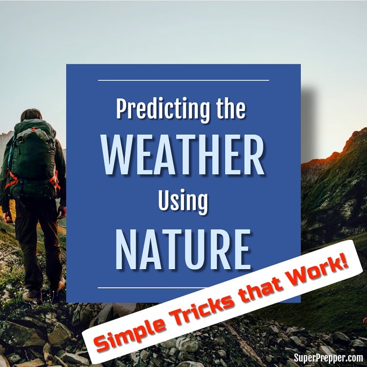 Predicting the Weather Using Only Nature