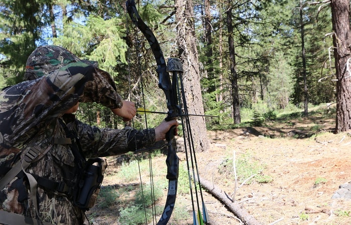 Bow hunting for food in the wilderness.