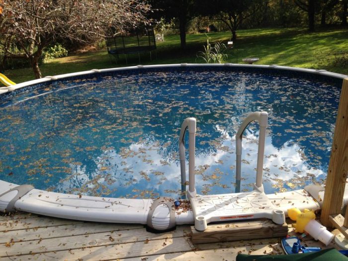 Drinking dirty pool water will make you sick.