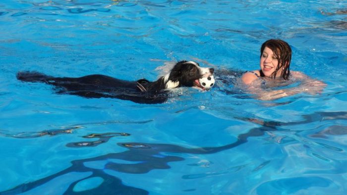 Animals spread pathogens through pool water.
