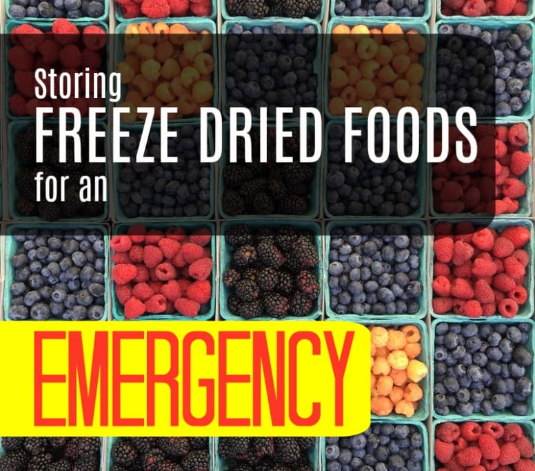 Storing Freeze Dried Food for an Emergency