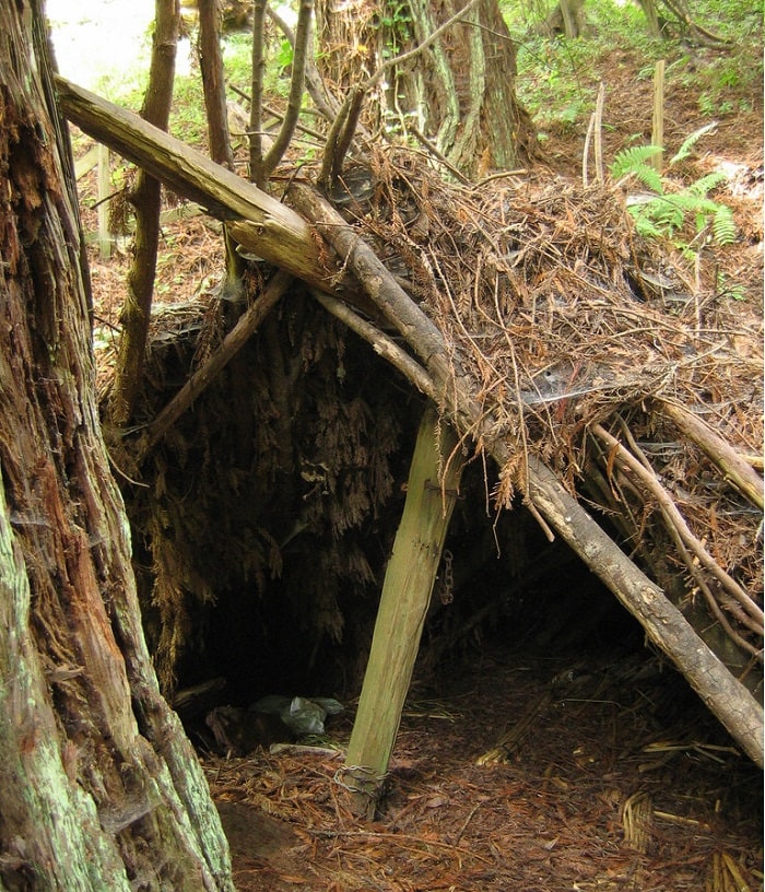 A basic lean to survival shelter.