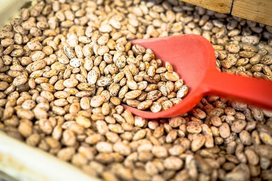 Pinto beans a a great source of protein.